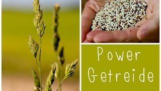 Top 5  Power Getreide  gesund amp vielseitig [upl. by Adnorrehs397]