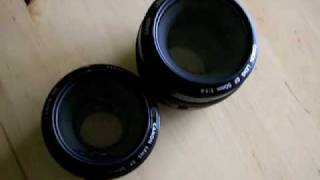 A comparison of the Canon EF 50mm f14 and f18 prime lenses [upl. by Fabozzi]