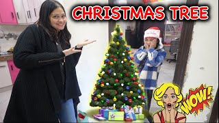 CHRISTMAS Tree 🎄SURPRISE for GUNEET 😱  Harpreet SDC [upl. by Shellans957]