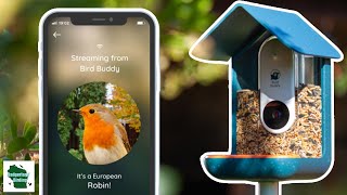 Introducing Bird Buddy A quotSmartquot Bird Feeder [upl. by Naihtsirc]