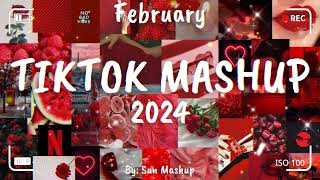 Tiktok Mashup February 🎉 2024 🎉 Not Clean [upl. by Einahets96]