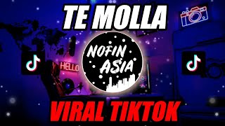 DJ TE MOLLA  ARNON Remix [upl. by Nahor]