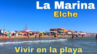 La Marina  Inusual PEDANIA de ELCHE 🏖️ emigrarconana [upl. by Hamforrd891]