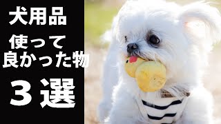 愛犬のために買って・使ってよかった犬用品ベスト３を紹介！！ [upl. by Aynot]