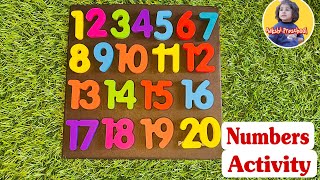 Numbers Activity  Learn Counting Numbers 120 Preschool Toddler [upl. by Eyt270]