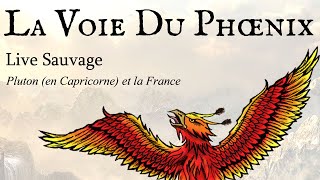 LIVE SAUVAGE  Pluton en Capricorne et la France [upl. by Pearce]