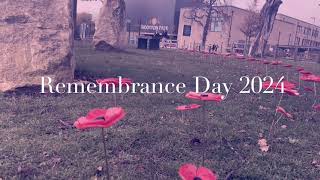 Remembrance Display 2024 [upl. by Elinore]