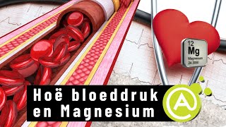 Hoë bloeddruk en Magnesium [upl. by Anivlis895]