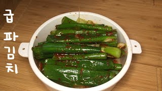 재료 단 4가지  제일 쉽고 맛있는 파김치  급하게 파김치가 먹고 싶을 때  Pa Kimchi Scallion kimchi [upl. by Unni582]