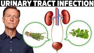 1 Best Remedy for a UTI Urinary Tract Infection [upl. by Marya]