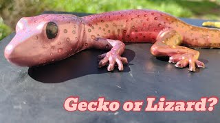 Gecko Or Lizard Creating Spots With UV Resin Raindrop Effect And Chrome Nail Powders [upl. by Dust671]