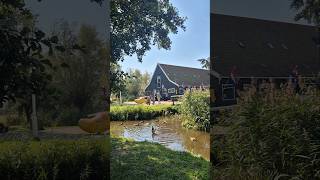 Exploring the charming windmills of Zaanse Schans a perfect blend of history and beauty [upl. by Haman434]