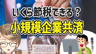 【今さら聞けない】小規模企業共済の内容、節税の効果とは！？ [upl. by Tiram]