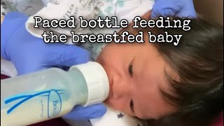 Pace Bottle Feeding the Breastfed Baby [upl. by Pampuch]