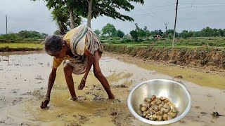 90 year old poor grandma Cooking GUGULI curry with Brinjan amp eating with water ricevillage kitchen [upl. by Nnaesor]