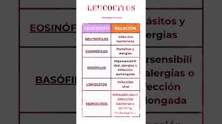 LEUCOCITOS Neutrófilos Eosinófilos Basófilos Monocitos Linfocitos eir enfermeria oposiciones [upl. by Nakah213]