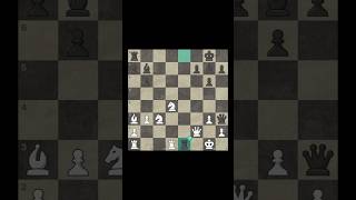 Byrne vs Fischer 1963 chesspuzzle chesstricks bobbyfisher [upl. by Lrub]