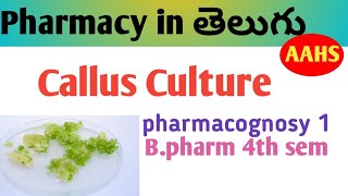 Bpharmacy 4th semester  pharmacognosy callus culture  plant tissue culture unit [upl. by Atiloj]