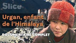 Urgan enfant de lHimalaya  SLICE  DOC COMPLET [upl. by Otnas]