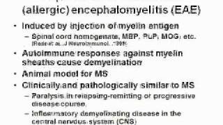 Multiple sclerosis axonal damage part 1 EAEwmv [upl. by Keeton]