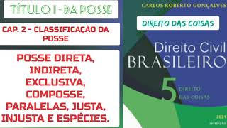 8 CLASSIFICAÇÃO DA POSSE Direta Indireta Exclusiva ComposseParalelasJusta Injusta e Espécies [upl. by Ynohtona368]