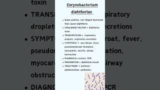 Corynebacterium diphtheriae [upl. by Gnohc]