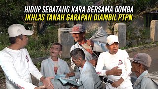 HIDUP SEBATANG KARA BARENG DOMBA  KI RODI IKHLAS TANAH GARAPANNYA DIAMBIL PTPN [upl. by Retnuh]