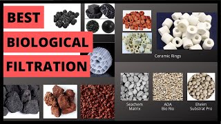 Biological Filtration Explained  Best Biological Filtration [upl. by Relyt]