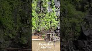 AmarkantakDurga dhara waterfall amarkantakshort videotrendingvideosnatureshort reel [upl. by Nygem]