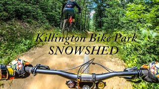 Killington Bike Parks SNOWSHED 4K  MTB 2020 [upl. by Bonneau]