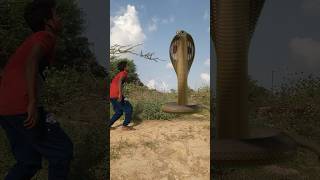 Snake enconda shorts trending videoAnaconda Snake in real life P285shorts snake anaconda [upl. by Assej321]