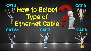 Comparison of Ethernet Cable CAT5 CAT6 CAT7 and CAT8 Types of LAN Cable [upl. by Lenroc]