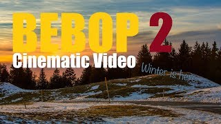 Cinematic video with a BEBOP 2  Part 8  Winter has begun [upl. by Lerad983]