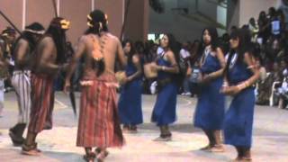 Murania Shuar danzawmv [upl. by Nnaear609]