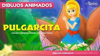 Pulgarcita  cuentos infantiles en Español [upl. by Kabob]