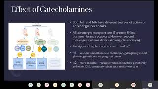 EMSA Primary FRCA Teaching 6 Endocrine [upl. by Idoj]