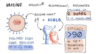 Shingles Vaccine Shingrix  Side Effects and Mechanism [upl. by Dovev]