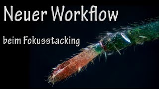 Neuer Workflow beim Fokusstacking [upl. by Oinotnaocram]