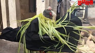 Egungun IrereAjija Masquerades Spiritual Performance during an Ifa Festival in Akure Oloyemekun [upl. by Leikeze]