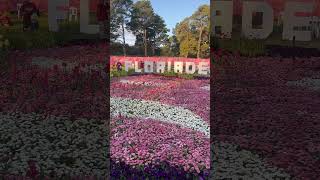 Beautiful Floriade 2024 shorts video [upl. by Weld101]