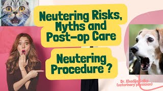 what are Neutering Risks Myths amp Tips for PostOp Care for Cats amp Dogs Neutering procedure [upl. by Ahcsropal]