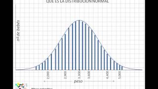 01 Qué es la distribución normal [upl. by Nyladnor]