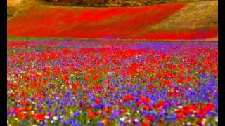 quotAUDIOVISIVO VALNERINA  CASTELLUCCIO DI NORCIAquot di MARCO BARCAROTTI [upl. by Risley989]