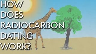 How Does Radiocarbon Dating Work  Instant Egghead 28 [upl. by Notreb665]