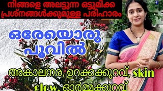 Health benefits of shankupushppam  Blue tea Magic drinkvlog 110 remedies healthbenefits cure [upl. by Hassi]