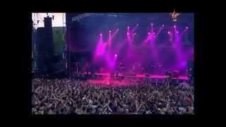 The Offspring  Want You Bad Live Best Performance HD [upl. by Cullen]