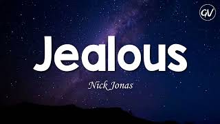 Nick Jonas  Jealous Lyrics [upl. by Gurolinick]