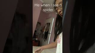 This is really real btw I am terribly scared os spiders [upl. by Yehudit]