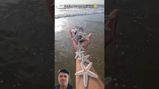 Just in time Saving starfish from drying out 🥺 shorts viralvideo trending fyp [upl. by Keligot471]