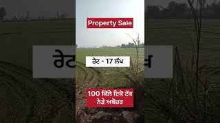 Property Sale 🌾🌾 property propertyforsale farming farmer ItsJasmeenAkhtar [upl. by Yddet789]